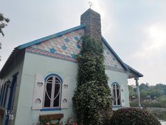 -大塘金香草谷