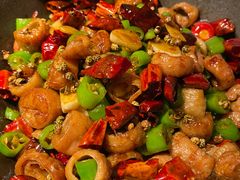 -老板恋上鱼(高新万达店)
