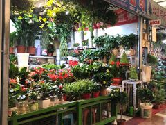 -朝来春花卉市场-东停车场