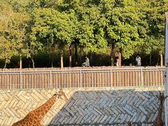 -泉州海丝野生动物世界