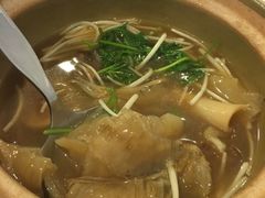 -大中鱼翅 Taitong Shark Fin