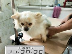 -惠宾花鸟宠物店