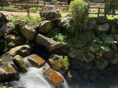 -灵光寺