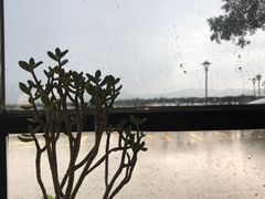 -NOTOOCAFE不二咖啡馆(岩前店)