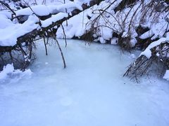 -峡谷浮石林景区