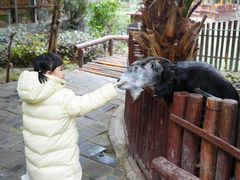 -呀路古热带植物园