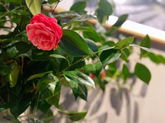 -泓0871臻选云南菜·味庄