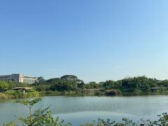 -福田红树林生态公园