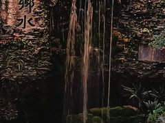 -广州白天鹅宾馆