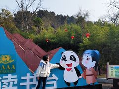 -子昂故里文化旅游区