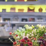 成都探店｜咖啡☕️甜品🍮鲜花💐好天气☁️