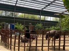 -呀路古热带植物园