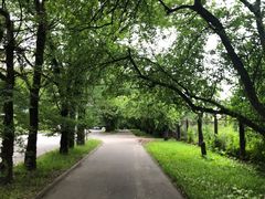 -莫斯科大学