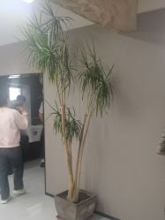 -宫铭烫发染发接发店