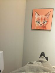 -洗脸猫·洗脸吧