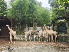 -长鹿旅游休博园