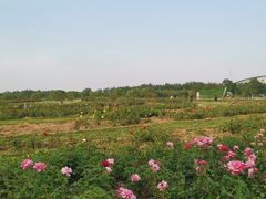 -廊坊文化艺术中心