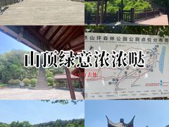 -铁山坪森林公园