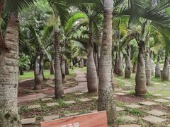 -海口火山口国家地质公园