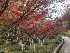 -南京市江宁方山