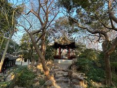 -秋霞圃