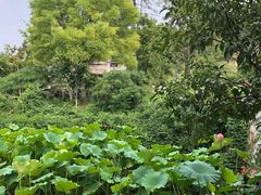 -映像徐州(滨湖店)