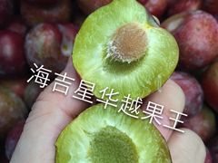 -海吉星市场