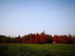 -同里国家湿地公园