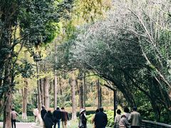 -苏州河梦清园环保主题公园