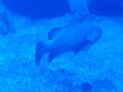 -太平洋海底世界