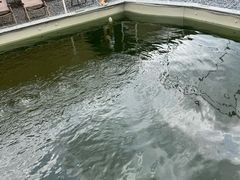 -DGE季风钓虾营地·团建·聚会