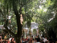 -Fern Forest Cafe