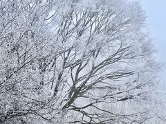 -九皇山景区