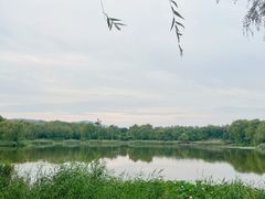 -北坞公园