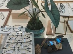 -Eziwish眼镜·蔡司授权店