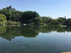-海珠湖公园