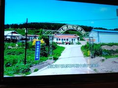-河坝烧烤串城(金达莱店)