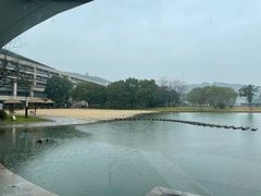 -上海佘山世茂艾美酒店