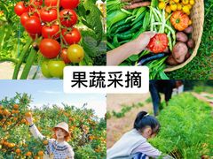 -上海山野camping·户外天幕烧烤·团建拓展营地