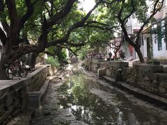 -小洲村
