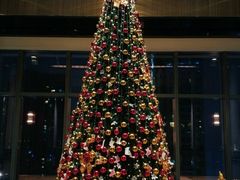 -三迪希尔顿酒店·星空酒廊