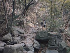 -莫干山风景区