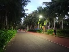 -万绿园