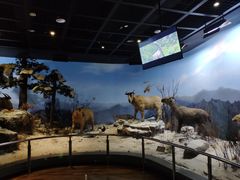 -陕西自然博物馆