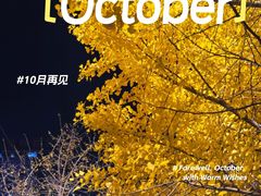 -七菜馆·东北菜·蒸饺(文体路店)