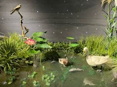 -溱湖国家湿地公园