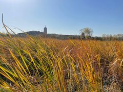 -永定河休闲森林公园
