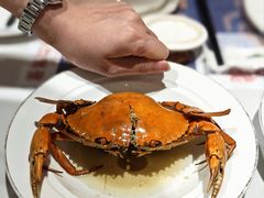 膏油黄油蟹-膳富贵黄油蟹体验馆(欢乐港湾店)