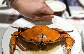 Huangyou Crab