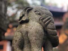 -普陀山风景名胜区-法雨禅寺
